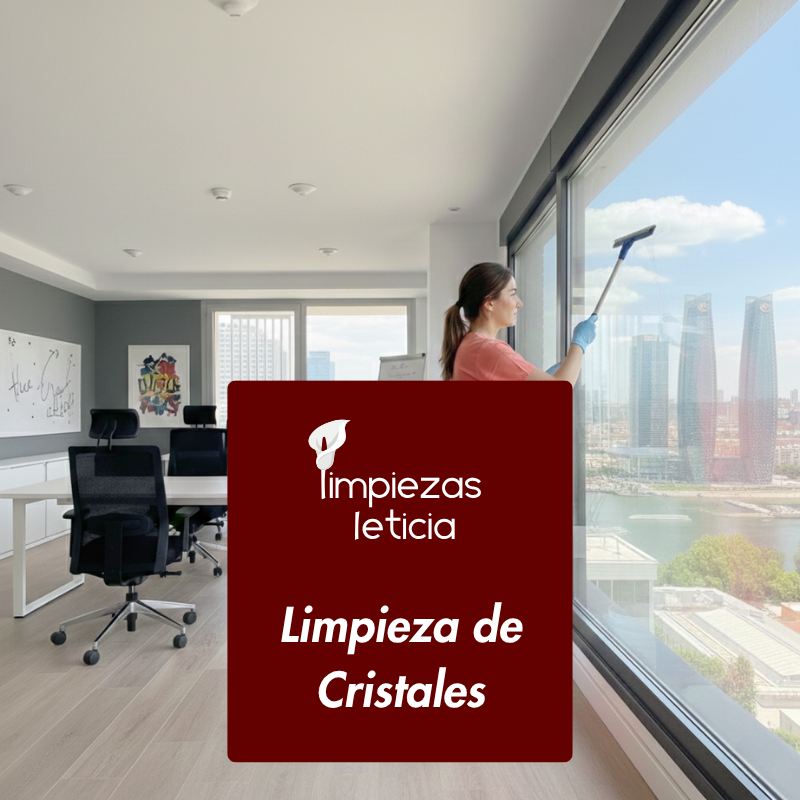 Limpiadora de Limpiezas Leticia haciendo una limpieza de cristales
